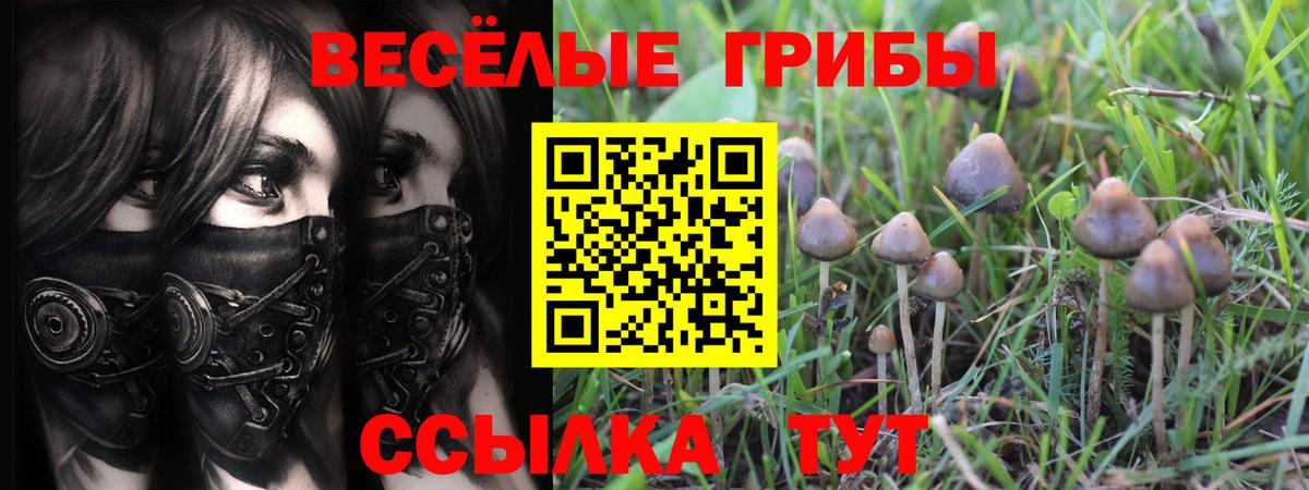Псилоцибиновые грибы мицелий Подольск