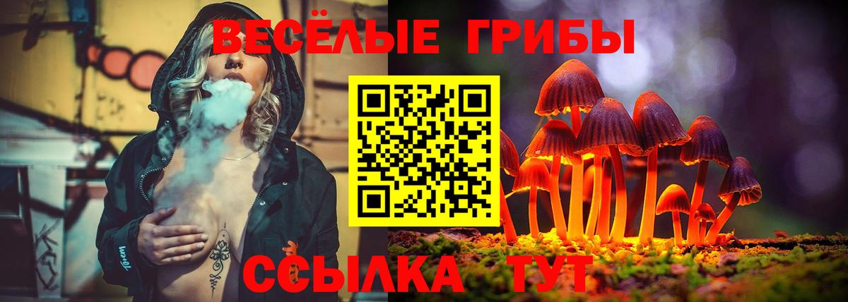Подольск  цены   Псилоцибиновые грибы мицелий  Вход с VPN  Галлюциногенные грибы GOLDEN TEACHER 